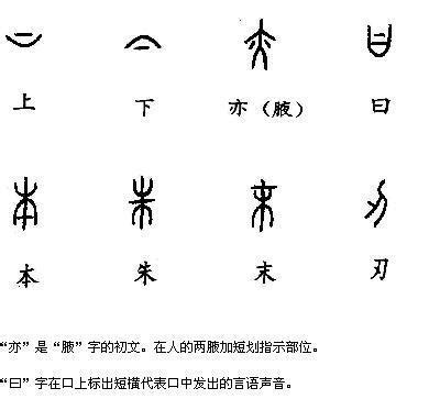 指事字大全|指事字举例30个